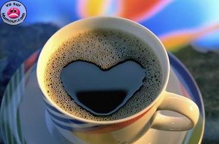 caffe