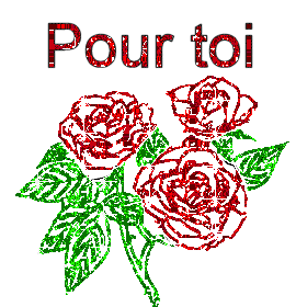 c pour toi visiteur