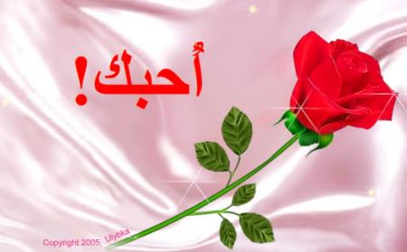 bahibak